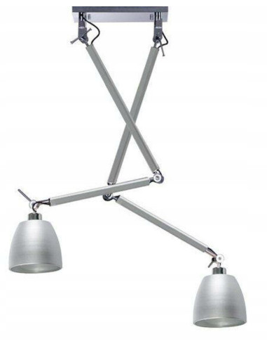 Lampa sufitowa ZYTA 2 S PENDANT, regulowane srebrne oświetlenie do nowoczesnych wnętrz, 2 źródła światła E27