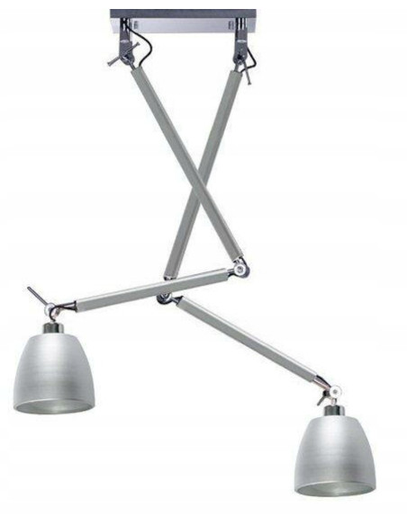 Lampa sufitowa ZYTA 2 S PENDANT, regulowane srebrne oświetlenie do nowoczesnych wnętrz, 2 źródła światła E27