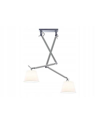 Lampa sufitowa ZYTA 2 S PENDANT, regulowane srebrne oświetlenie do nowoczesnych wnętrz, 2 źródła światła E27