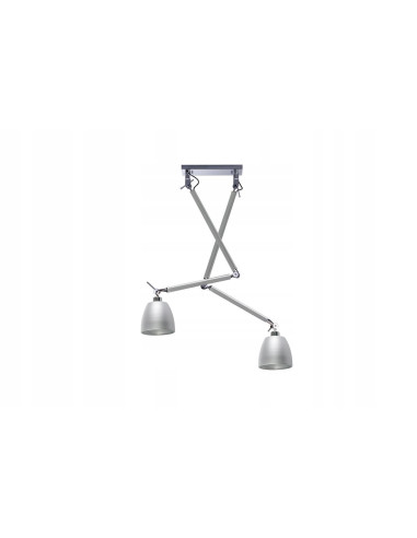 Lampa sufitowa ZYTA 2 S PENDANT, regulowane srebrne oświetlenie do nowoczesnych wnętrz, 2 źródła światła E27