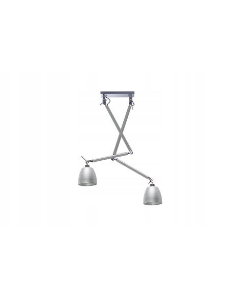 Lampa sufitowa ZYTA 2 S PENDANT, regulowane srebrne oświetlenie do nowoczesnych wnętrz, 2 źródła światła E27