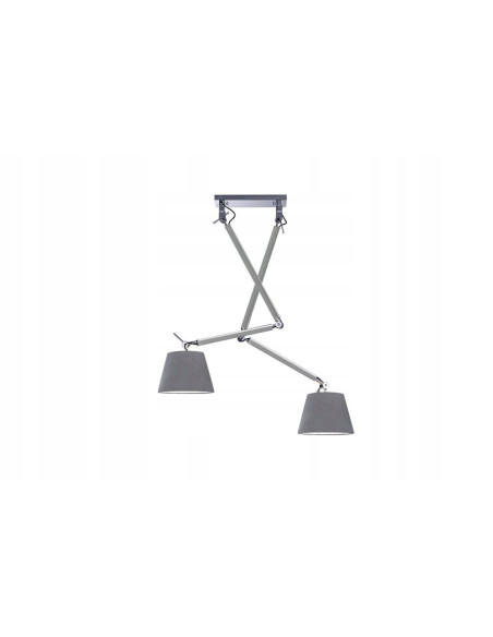 Lampa sufitowa ZYTA 2 S PENDANT, regulowane srebrne oświetlenie do nowoczesnych wnętrz, 2 źródła światła E27