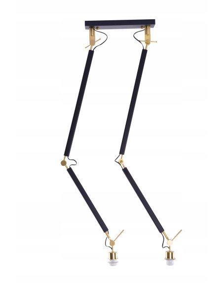 Lampa wisząca ZYTA 2 S w kolorze złotym z regulowanymi ramionami - elegancja i nowoczesność w jednym