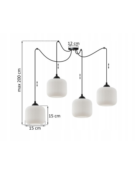 Lampa sufitowa RIFFLE z regulowanymi kloszami, elegancka w czerni i bieli, idealna do nowoczesnego wnętrza.