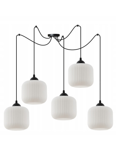 Elegancka lampa sufitowa RIFFLE w kolorze czarno-białym, cylindryczne klosze, 5 punktów świetlnych, do nowoczesnych wnętrz