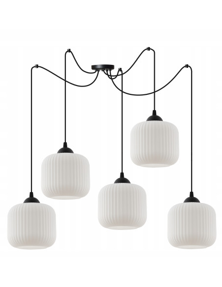 Elegancka lampa sufitowa RIFFLE w kolorze czarno-białym, cylindryczne klosze, 5 punktów świetlnych, do nowoczesnych wnętrz