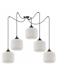 Elegancka lampa sufitowa RIFFLE w kolorze czarno-białym, cylindryczne klosze, 5 punktów świetlnych, do nowoczesnych wnętrz 2