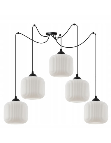 Elegancka lampa sufitowa RIFFLE w kolorze czarno-białym, cylindryczne klosze, 5 punktów świetlnych, do nowoczesnych wnętrz