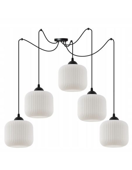 Elegancka lampa sufitowa RIFFLE w kolorze czarno-białym, cylindryczne klosze, 5 punktów świetlnych, do nowoczesnych wnętrz