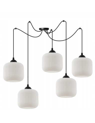 Elegancka lampa sufitowa RIFFLE w kolorze czarno-białym, cylindryczne klosze, 5 punktów świetlnych, do nowoczesnych wnętrz