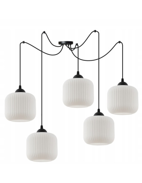 Elegancka lampa sufitowa RIFFLE w kolorze czarno-białym, cylindryczne klosze, 5 punktów świetlnych, do nowoczesnych wnętrz