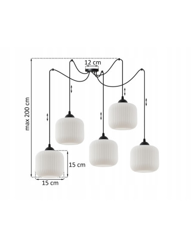 Elegancka lampa sufitowa RIFFLE w kolorze czarno-białym, cylindryczne klosze, 5 punktów świetlnych, do nowoczesnych wnętrz