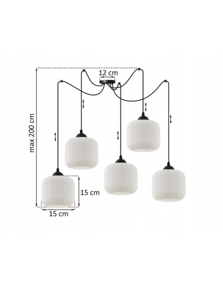 Elegancka lampa sufitowa RIFFLE w kolorze czarno-białym, cylindryczne klosze, 5 punktów świetlnych, do nowoczesnych wnętrz