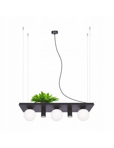 Lampa wisząca PLANT E14, pięciopłomienna, regulowana wysokość, czarna, elegancki design, Zuma Line