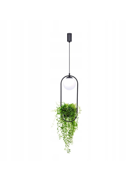 Elegancki minimalistyczny zwis metalowy z miejscem na rośliny PLANT E14 - stylowa lampa wisząca do każdego wnętrza