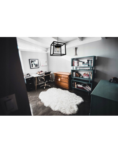 Lampa wisząca RASTI CAGE w industrialnym stylu, czarna metalowa, regulowany zwis, E27, nowoczesne oświetlenie do wnętrz