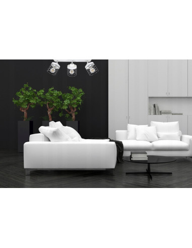 Nowoczesna lampa sufitowa RASTI w stylu loft, 3-punktowa, srebrna z kloszami koszykowymi, idealna do wnętrz industrialnych