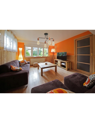 Lampa sufitowa EDISON w stylu awangardowym z metalową konstrukcją, idealna do nowoczesnych wnętrz.