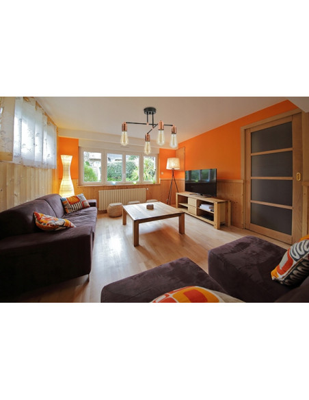 Lampa sufitowa EDISON w stylu awangardowym z metalową konstrukcją, idealna do nowoczesnych wnętrz.