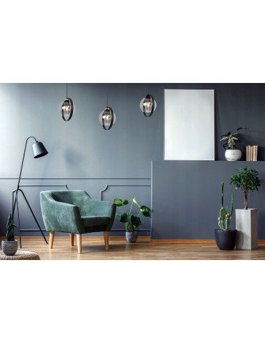 Lampa wisząca RING HAGA - elegancka z przydymionym szkłem i metalową obręczą, idealna do nowoczesnych wnętrz.