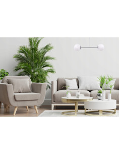 Chromowany plafon SIENA z matowymi kloszami – nowoczesna lampa sufitowa do salonu, sypialni i biura. 2