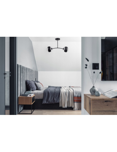 Plafon industrialny Toledo 2 klosze czarny - nowoczesne oświetlenie do biura, sypialni i salonu