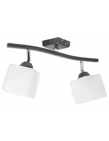 Plafon Tina 2 - Elegancki grafitowy plafon z regulowanymi kwadratowymi kloszami do nowoczesnych wnętrz