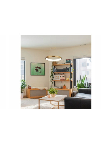 Lampa LED Thea Ring w stylu glamour - złota, okrągła, nowoczesne oświetlenie 120 cm, 24 W do wszystkich wnętrz