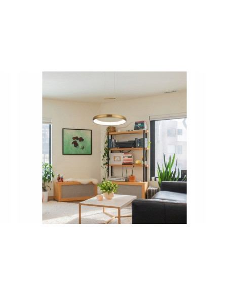 Lampa LED Thea Ring w stylu glamour - złota, okrągła, nowoczesne oświetlenie 120 cm, 24 W do wszystkich wnętrz