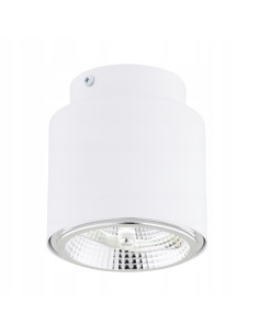 Reflektor sufitowy NANO 1 WHITE AR-111 - elegancki punkt świetlny z metalu, idealny do nowoczesnych wnętrz.