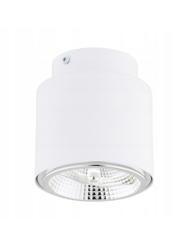 Reflektor sufitowy NANO 1 WHITE AR-111 - elegancki punkt świetlny z metalu, idealny do nowoczesnych wnętrz.