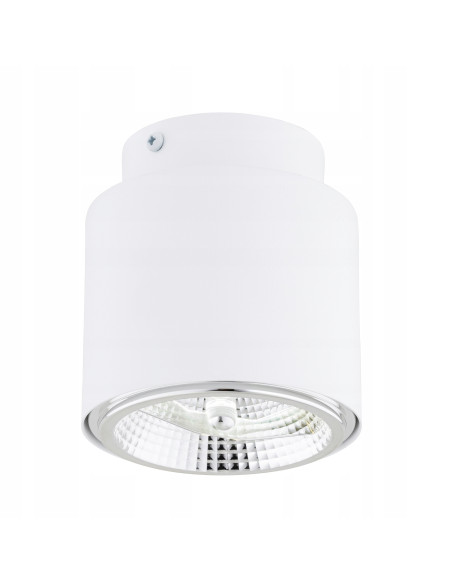Reflektor sufitowy NANO 1 WHITE AR-111 - elegancki punkt świetlny z metalu, idealny do nowoczesnych wnętrz.