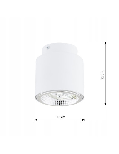 Reflektor sufitowy NANO 1 WHITE AR-111 - elegancki punkt świetlny z metalu, idealny do nowoczesnych wnętrz.