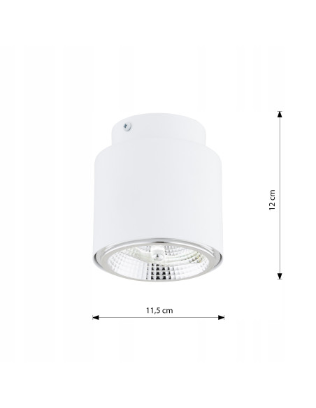 Reflektor sufitowy NANO 1 WHITE AR-111 - elegancki punkt świetlny z metalu, idealny do nowoczesnych wnętrz.