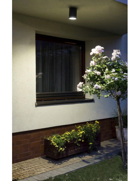 Nowoczesna lampa sufitowa zewnętrzna ADELA GU10 - regulowana, cylindryczna, szara, 35W, IP54 do tarasu i wejścia.