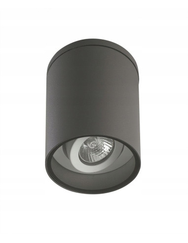Nowoczesna lampa sufitowa zewnętrzna ADELA GU10 - regulowana, cylindryczna, szara, 35W, IP54 do tarasu i wejścia.