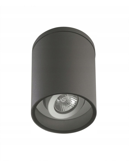 Nowoczesna lampa sufitowa zewnętrzna ADELA GU10 - regulowana, cylindryczna, szara, 35W, IP54 do tarasu i wejścia.