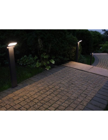 Słup ogrodowy NEO 60 cm z regulowanym LED, szary - nowoczesne oświetlenie do ogrodu i przy garażu, IP54.