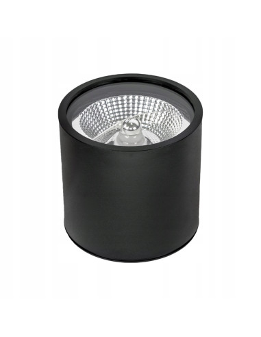 Reflektor sufitowy SPOT CARLO GU10, czarny, IP65, 10W - nowoczesne oświetlenie do łazienek i przestrzeni komercyjnych