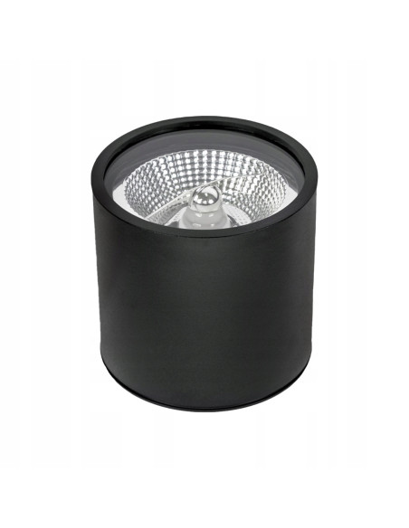 Reflektor sufitowy SPOT CARLO GU10, czarny, IP65, 10W - nowoczesne oświetlenie do łazienek i przestrzeni komercyjnych