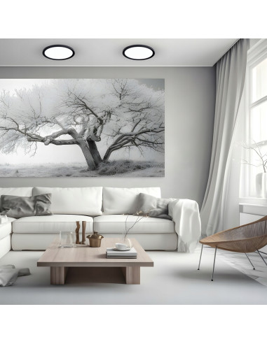 Plafon LED MAQ 24W okrągły z czarnym rantem, regulowana barwa światła, nowoczesny do korytarza i salonu 30 cm