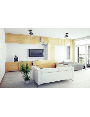 Reflektor sufitowy ROMA - czarno-przezroczysty, regulowany, nowoczesne oświetlenie do eleganckich wnętrz