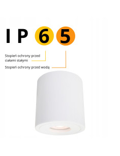 Reflektor sufitowy Faro XL IP65 - nowoczesne oświetlenie łazienkowe GU10 w białej metalowej obudowie, 1 punkt, 50W 2