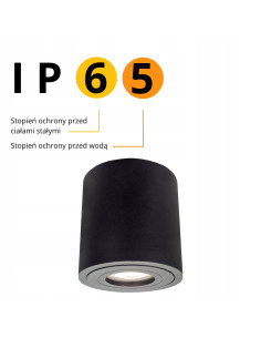 Minimalistyczne oświetlenie sufitowe Faro XL IP65 do łazienki i tarasu, czarne metalowe z gwintem GU10 2