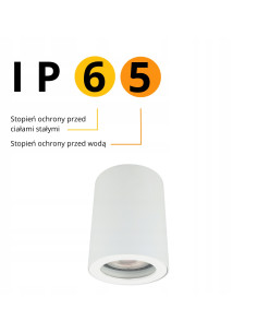 Wodoodporny reflektor sufitowy IP65 Faro - nowoczesna lampa do łazienki i tarasu w kolorze białym, minimalistyczny design.