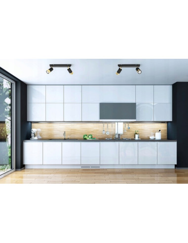 Plafon HUGO - Eleganckie oświetlenie z dwoma reflektorami w czerni i złocie do nowoczesnych wnętrz