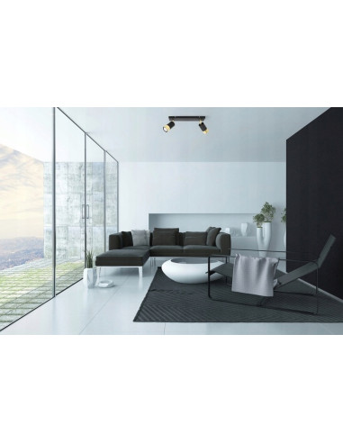 Plafon HUGO - Eleganckie oświetlenie z dwoma reflektorami w czerni i złocie do nowoczesnych wnętrz