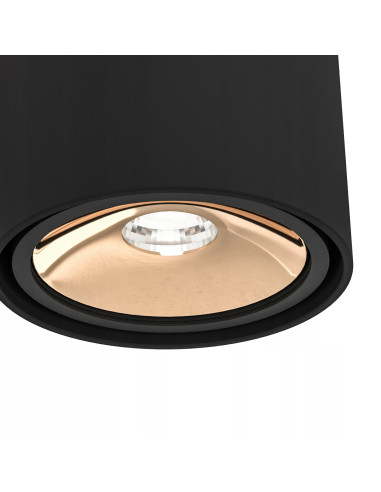 Lampa sufitowa Neo Nero Gold - Nowoczesny plafon w minimalistycznym stylu do biura i eleganckich wnętrz