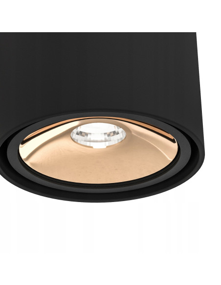 Lampa sufitowa Neo Nero Gold - Nowoczesny plafon w minimalistycznym stylu do biura i eleganckich wnętrz