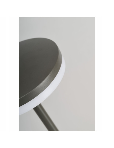 Lampa ogrodowa LED ALVA 12W, wodoodporna, elegancka do przestrzeni zewnętrznych - AZzardo